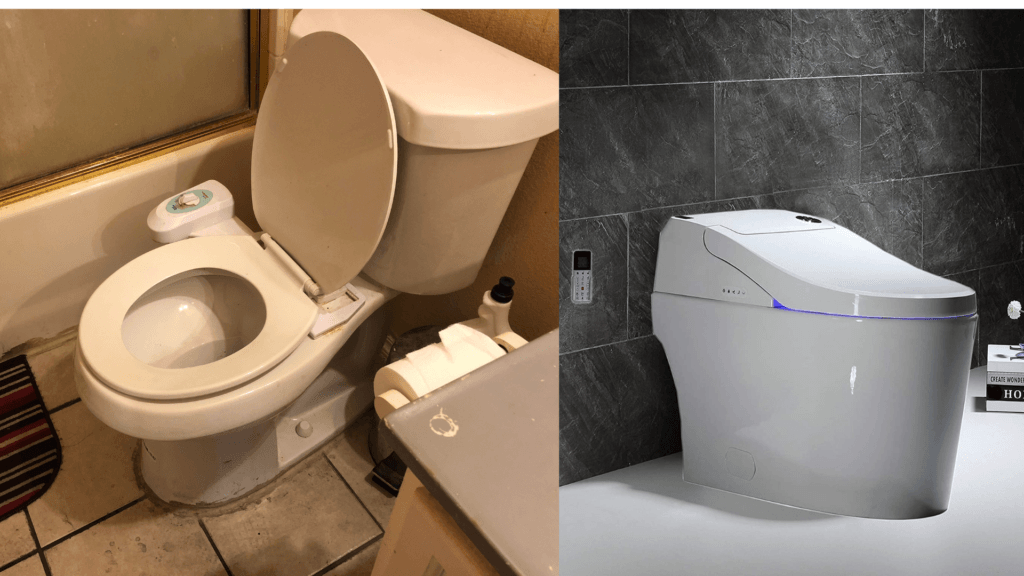 side by side toilet seat bidet and bidet/toilet combo unit