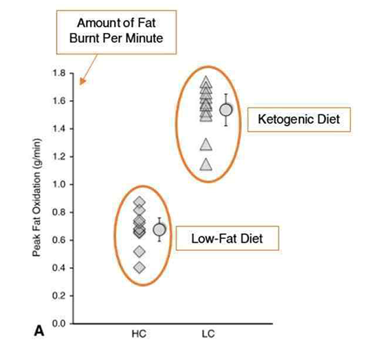 amount of fat burned per minute on keto