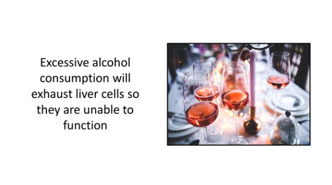 excessive alcohol consumption and reverse aging