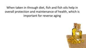 fish oil and reverse aging