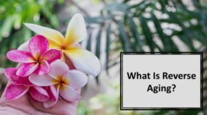 what is reverse aging