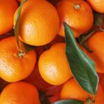 mandarin essential oil