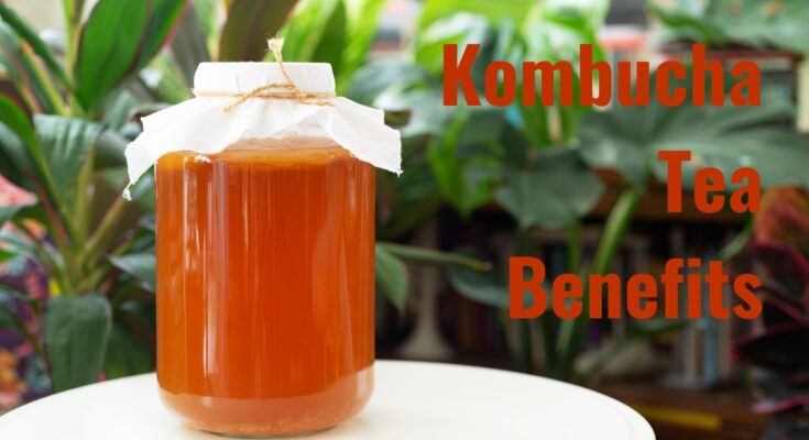 kombucha tea benefits