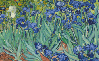 Irises - Vincent van Gogh