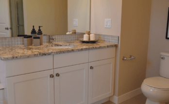 Bathroom Vanity in a Remodel